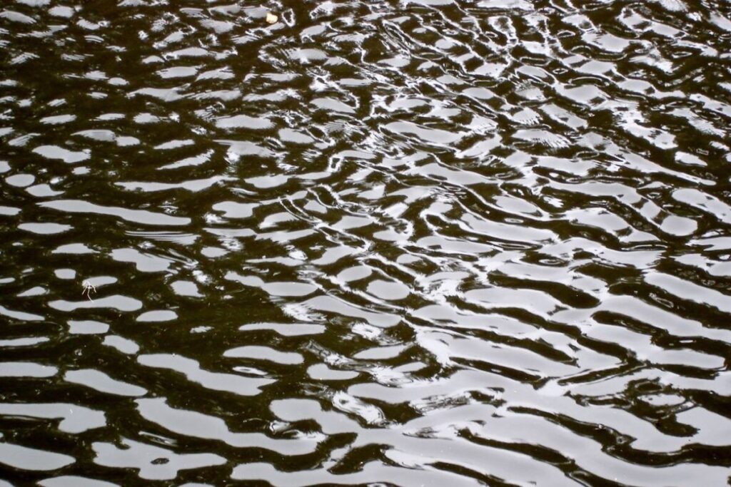 Water Ripple Sheet in usa